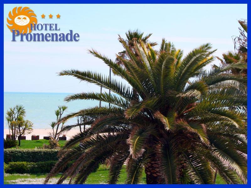 Hotel Promenade Порто-Сант'Эльпидио Экстерьер фото
